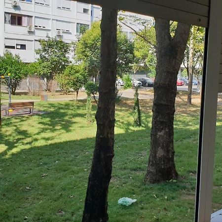 Yellow Apartment, Central ポドゴリツァ エクステリア 写真